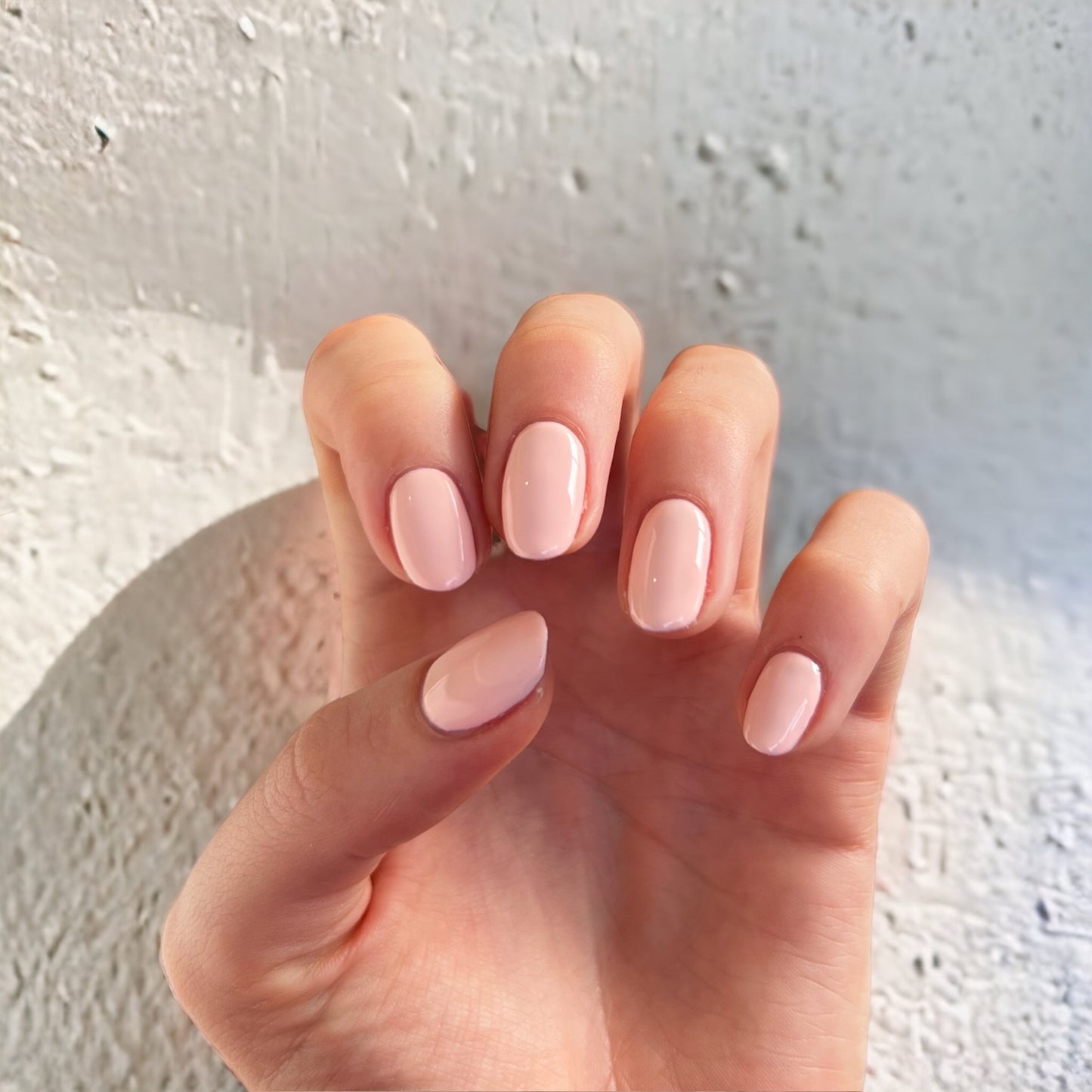 Seashell (#125)