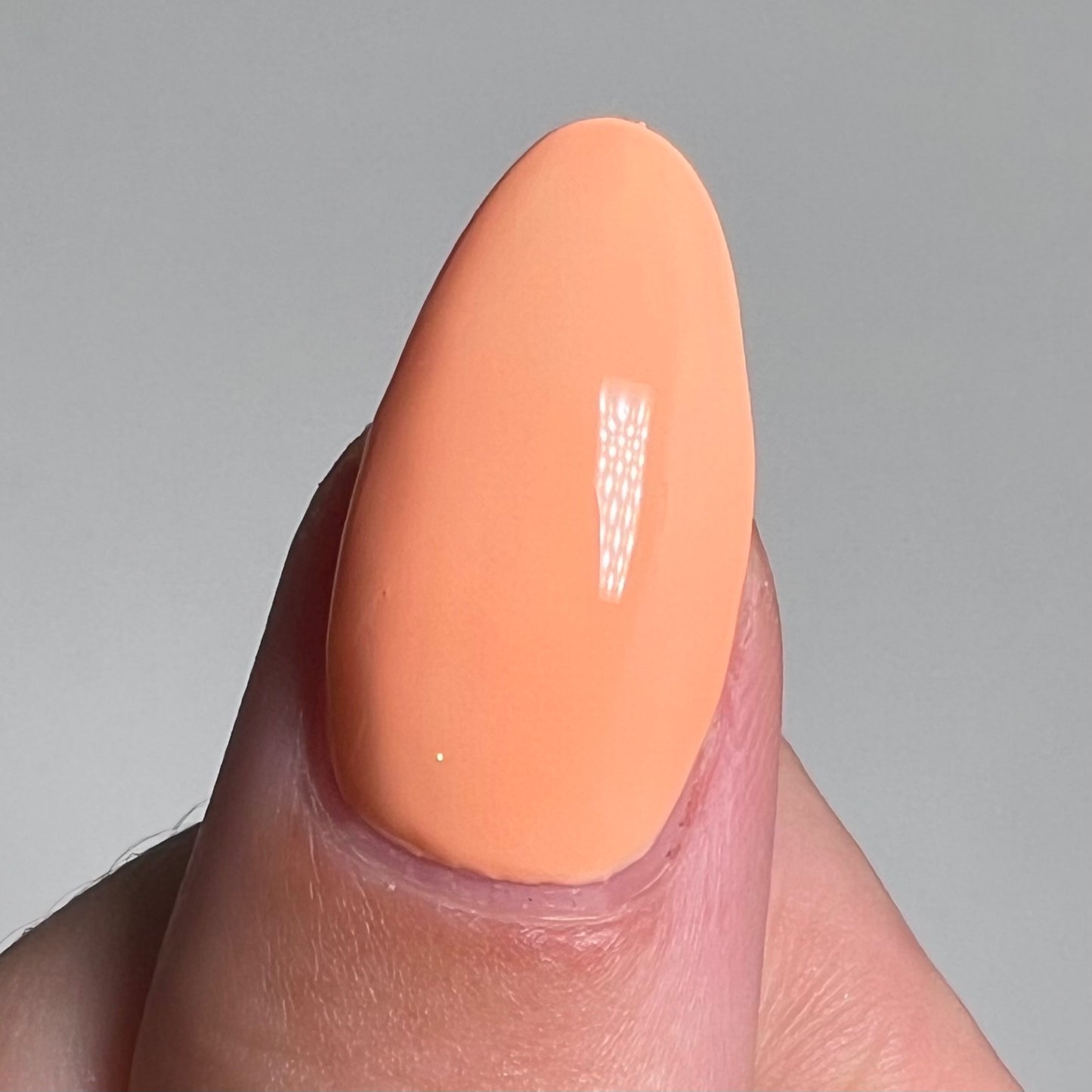 Coral (#28)