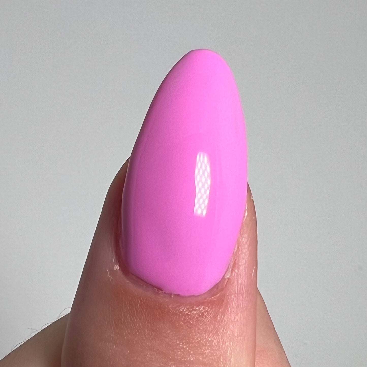 Bubblegum (#5)
