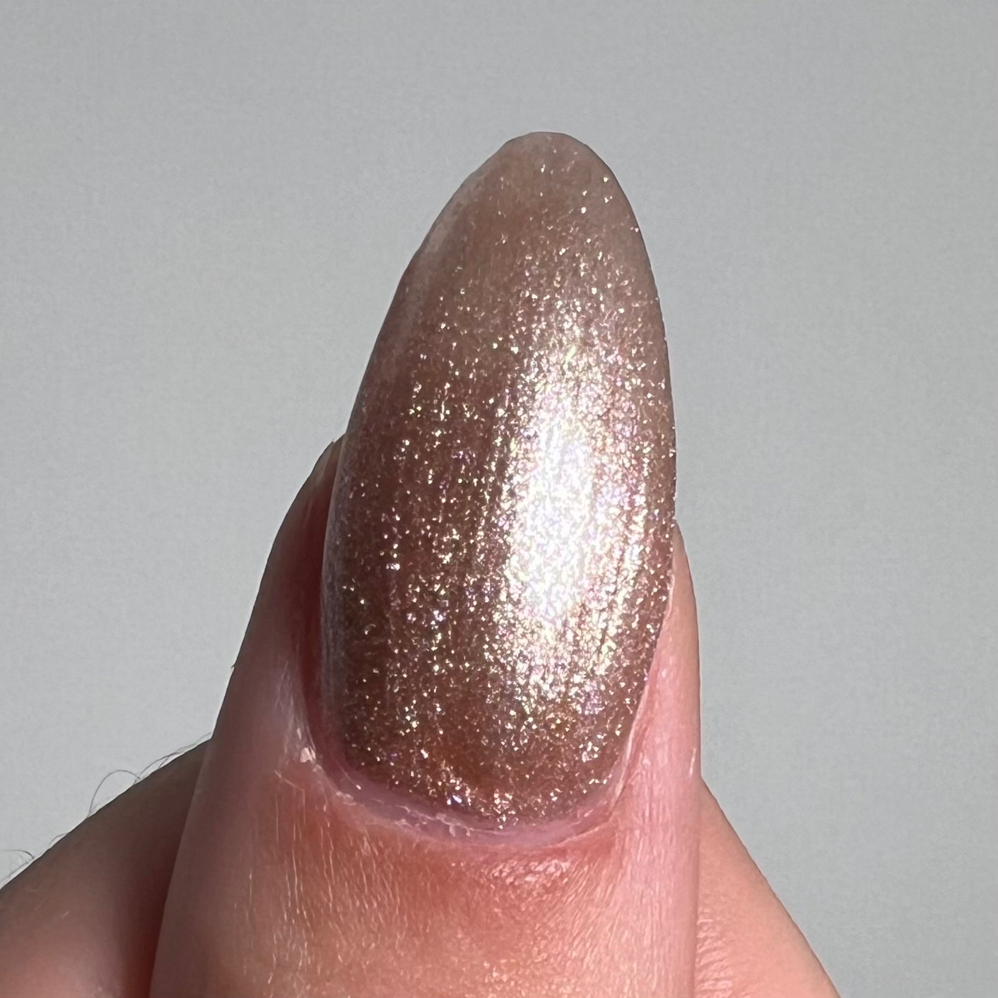 Champagne (#55)