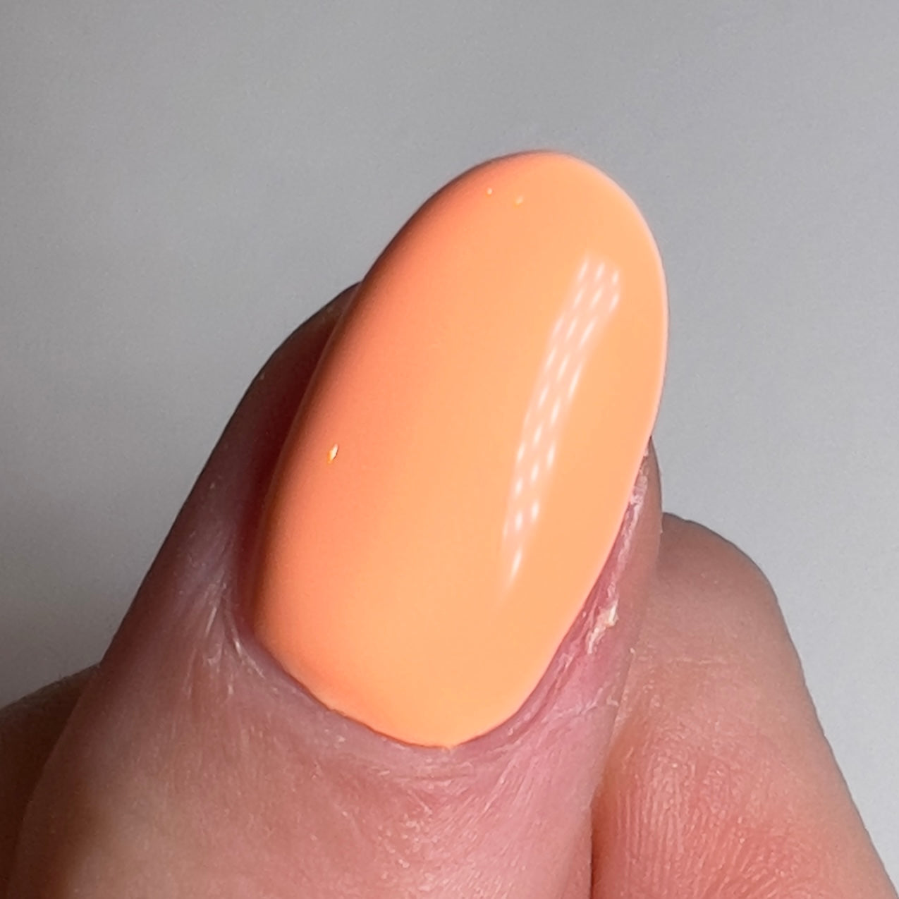 Coral (#28)