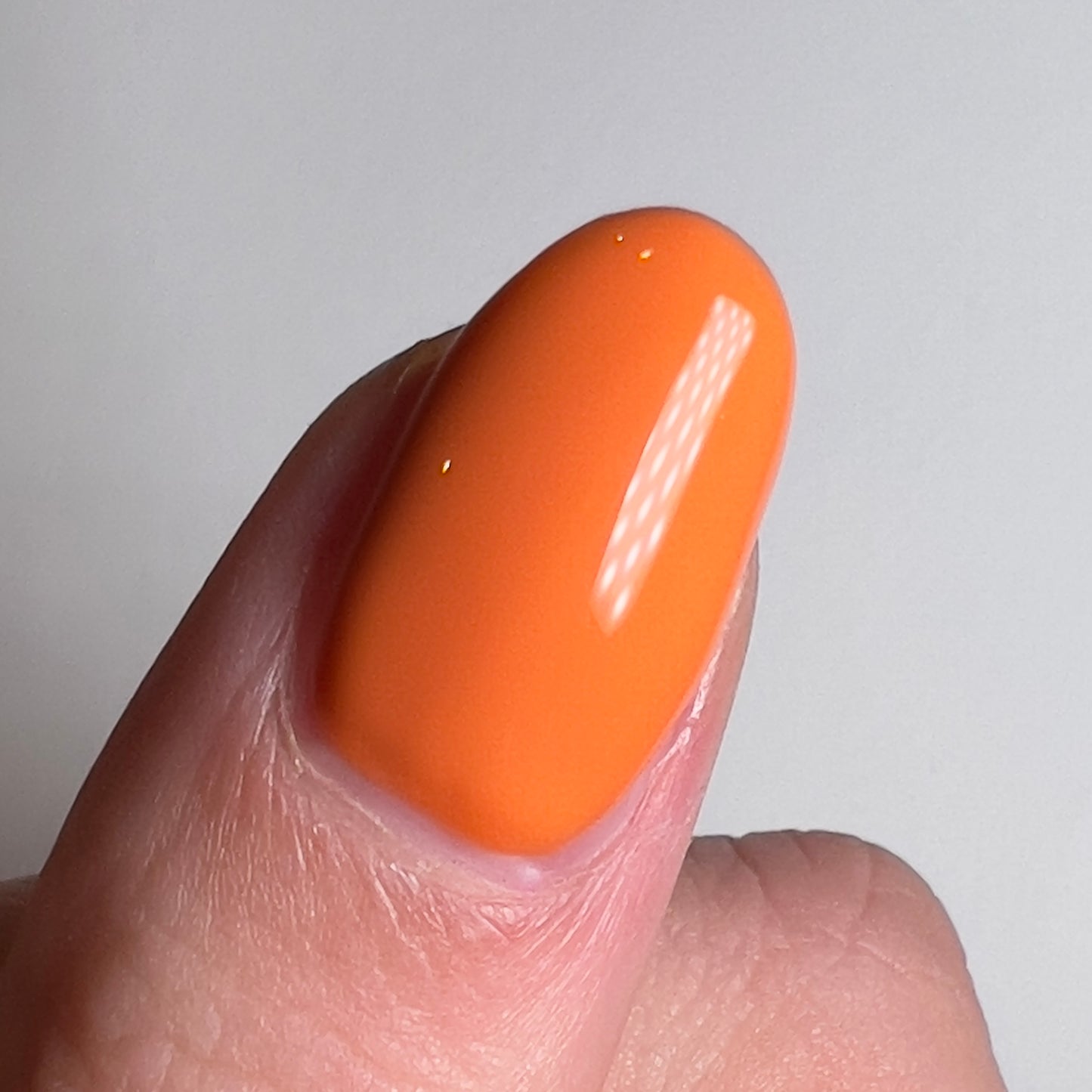Burnt Orange (#98)