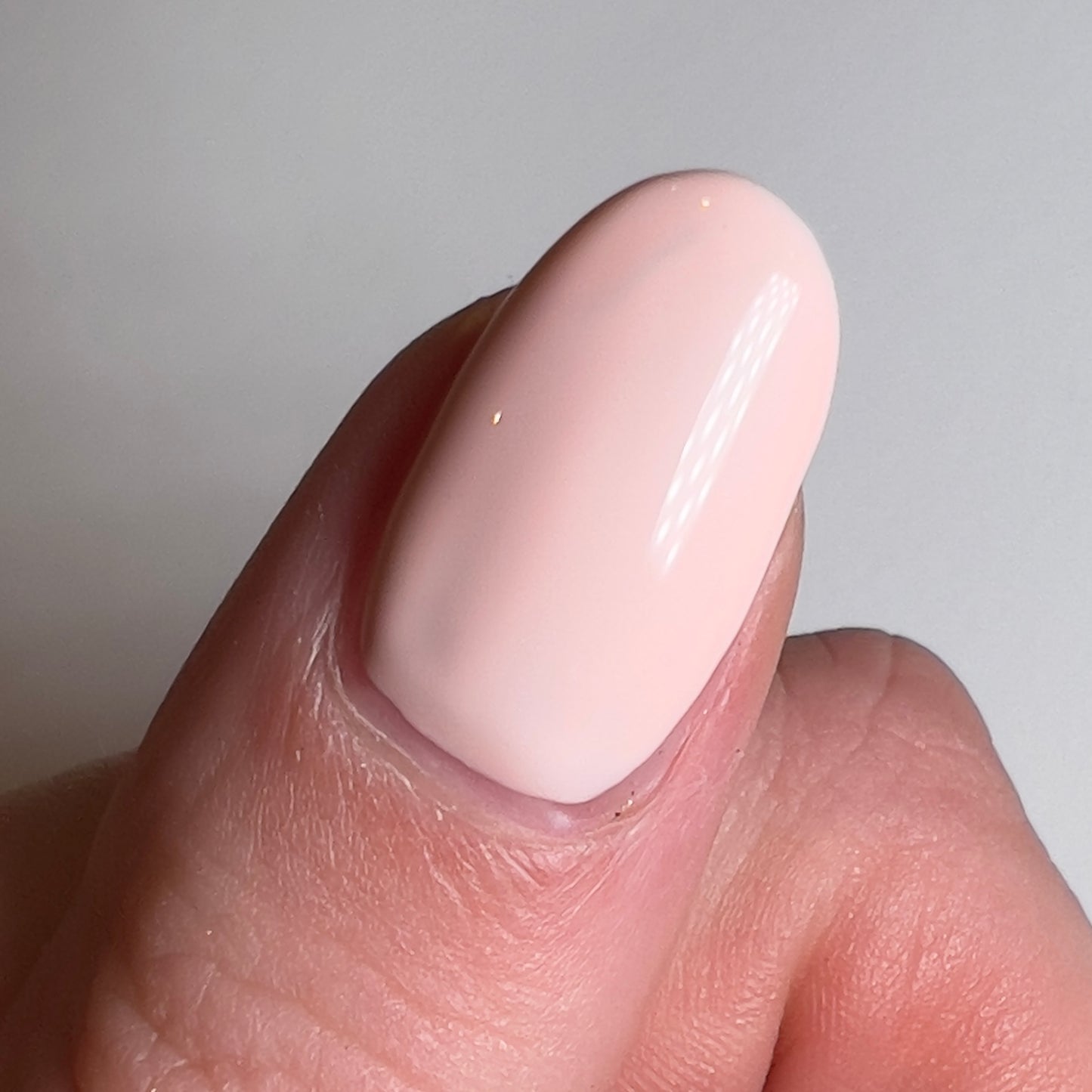 Seashell (#125) HEMA-FREE