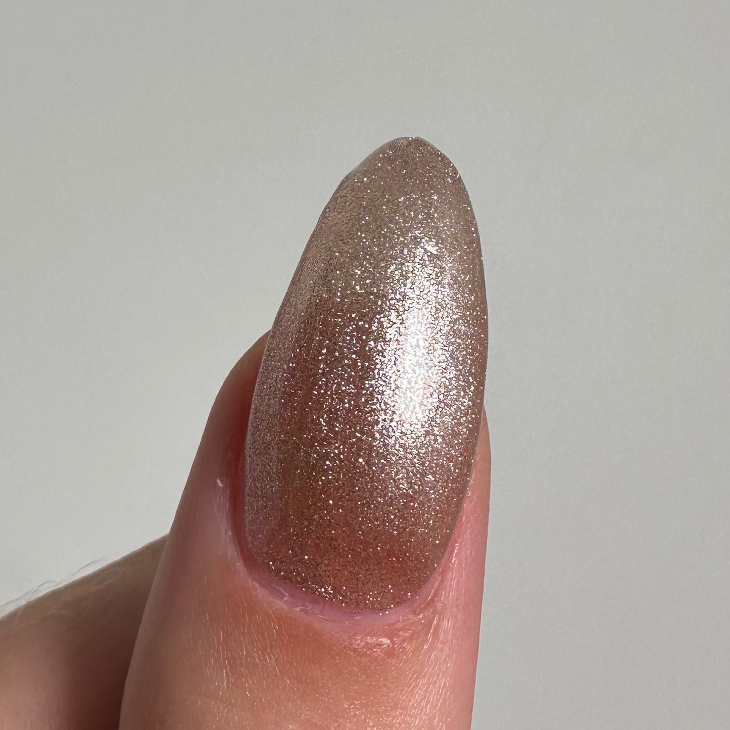 Champagne (#55)