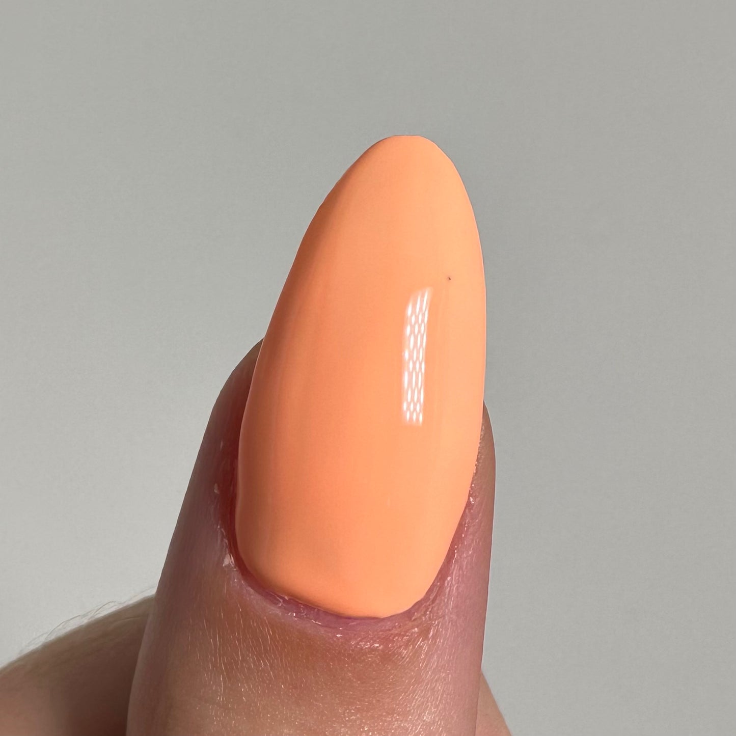Coral (#28)
