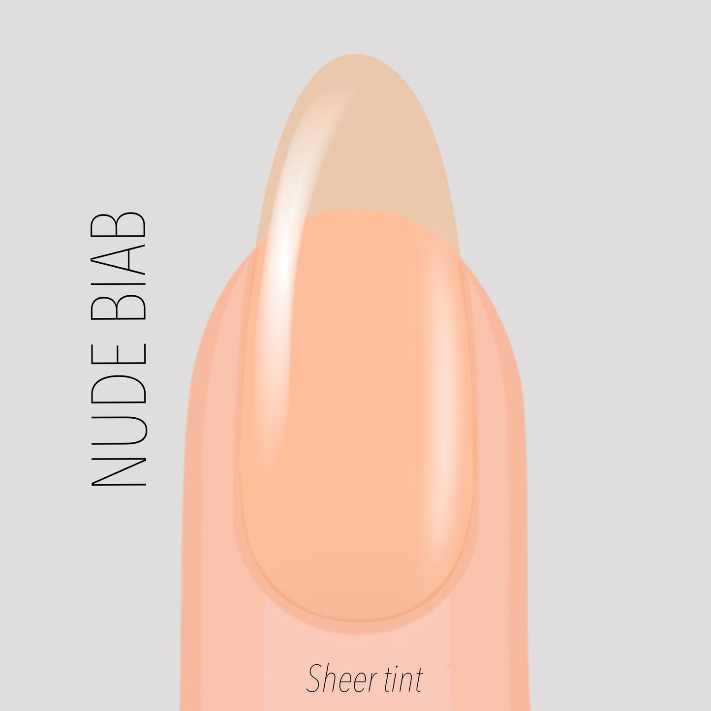 Nude Builder Gel (old shade)