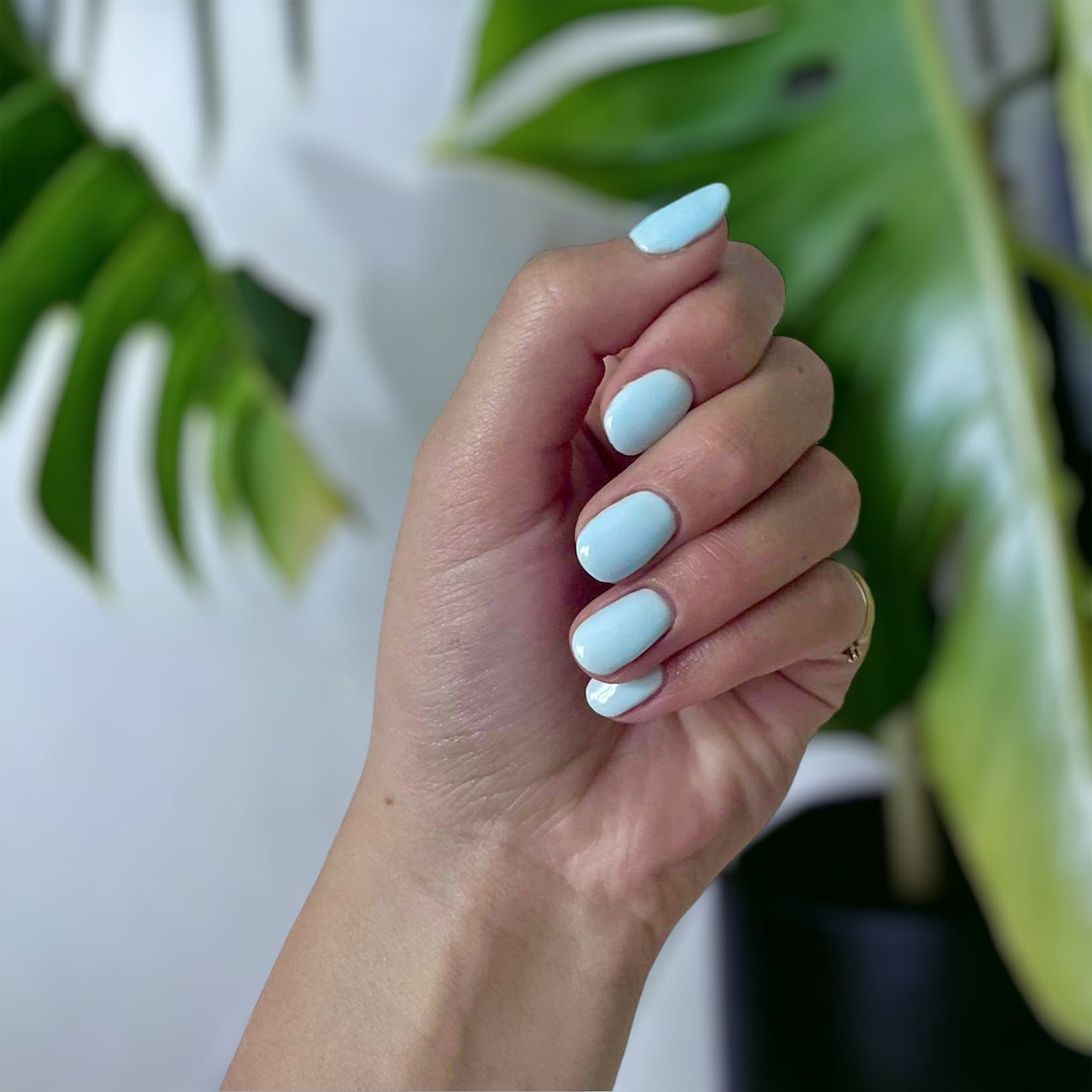Baby Blue (#101)