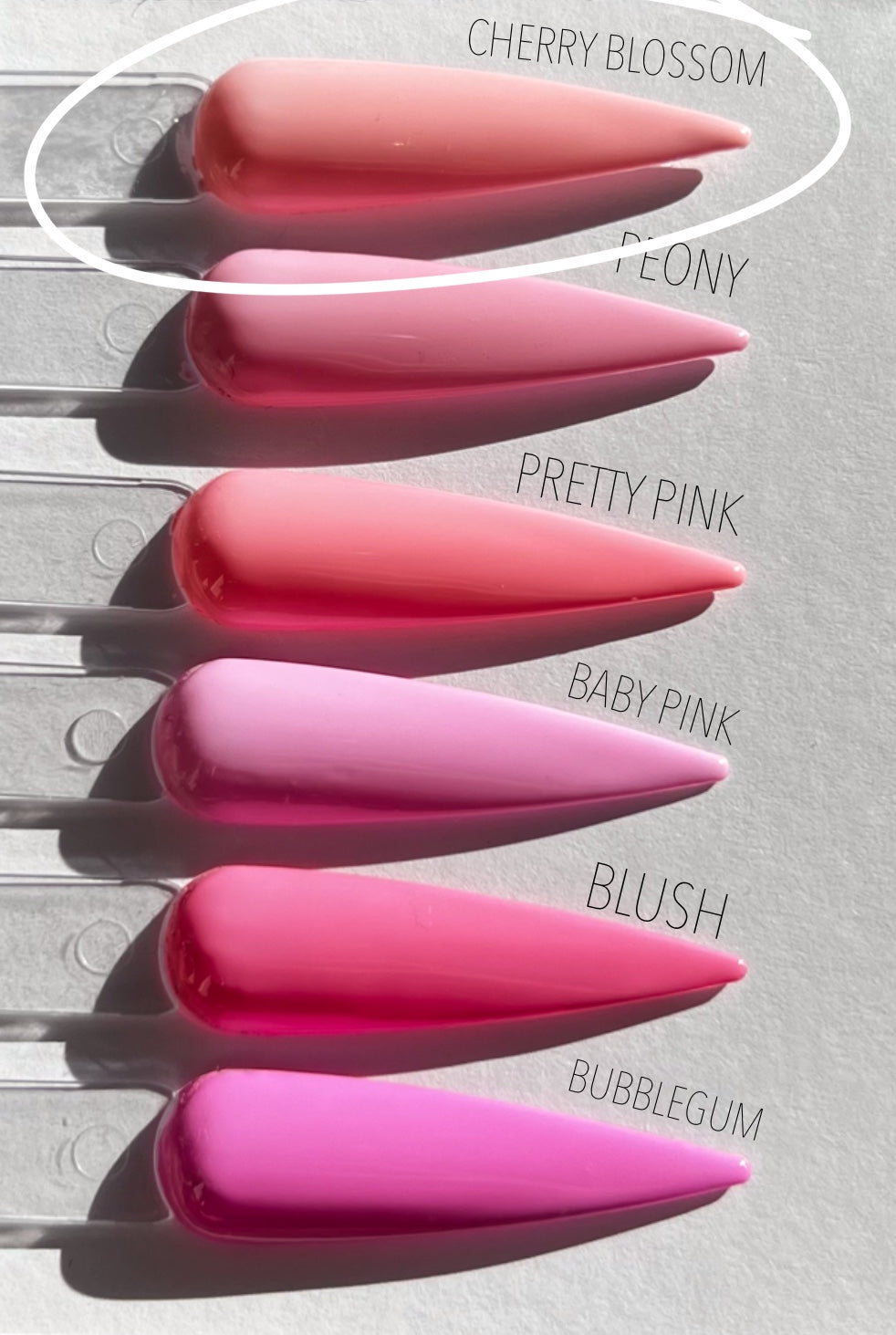 Cherry Blossom (#53)