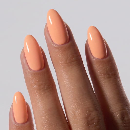 Coral (#28)