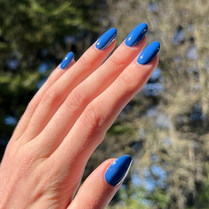 Out of the Blue (#152)