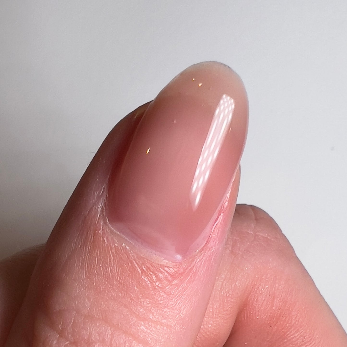 Nude Builder Gel #2