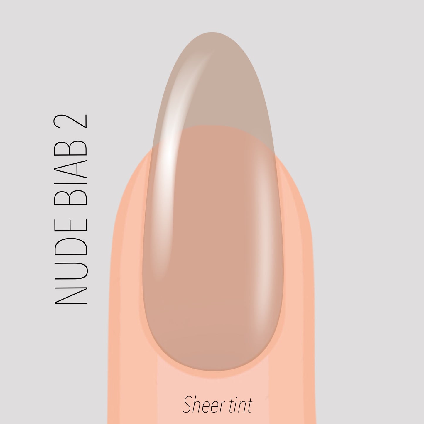 Nude Builder Gel #2