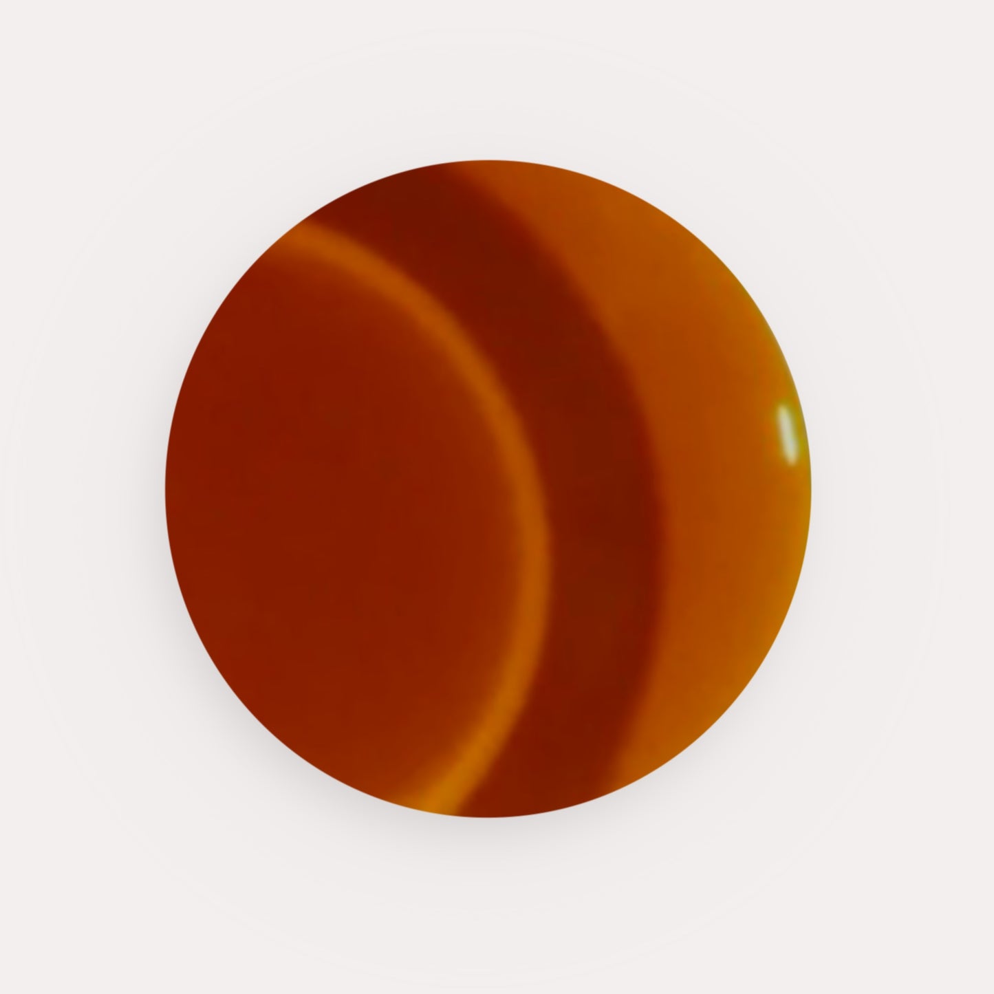 Tortoise Rubber Base