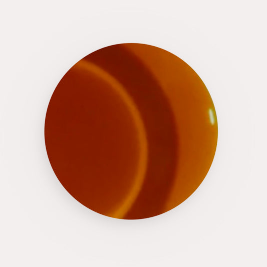 Tortoise Rubber Base